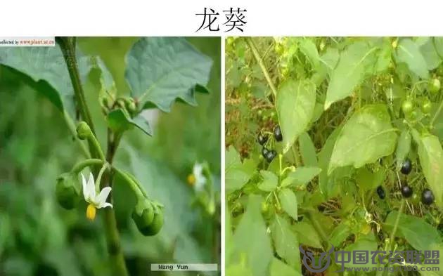 附件