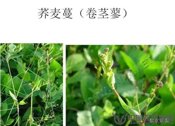 附件