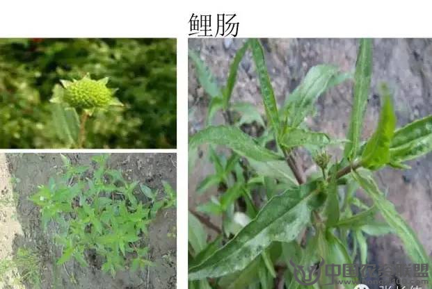 附件