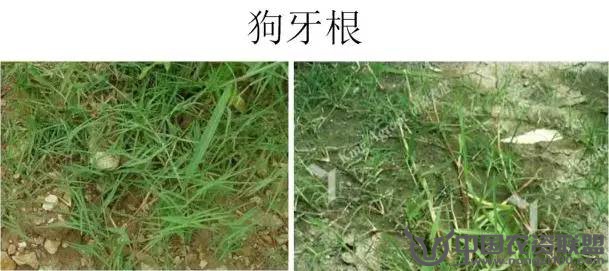 附件