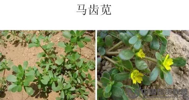 附件