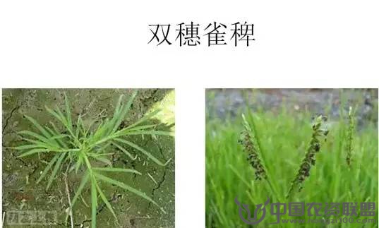 附件