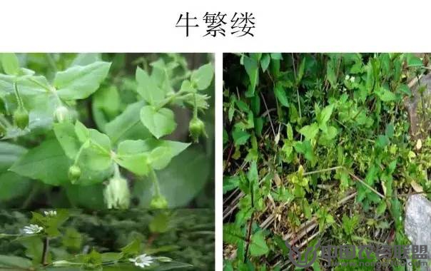 附件