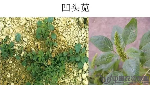 附件