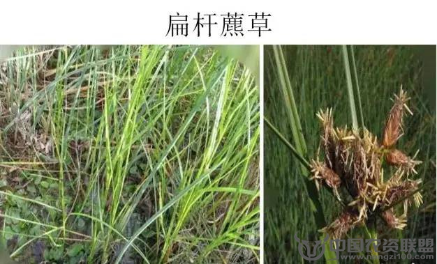 附件