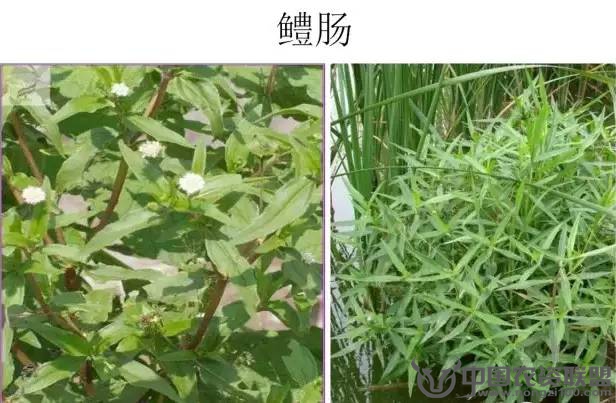 附件