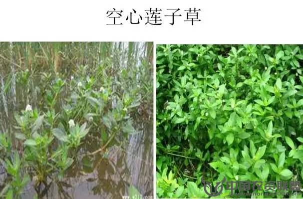 附件