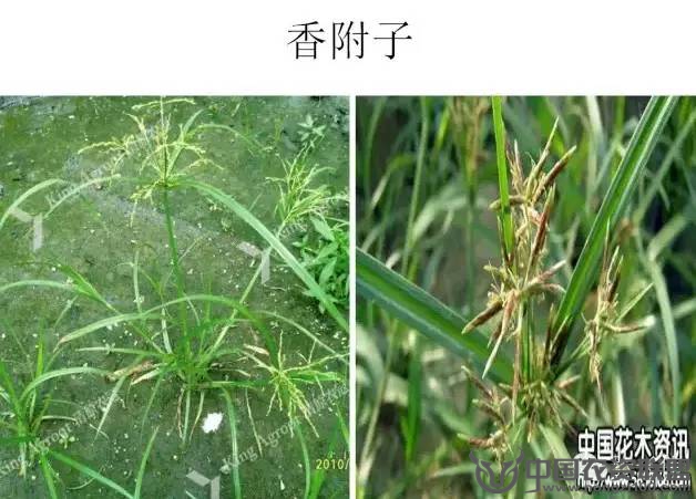 附件