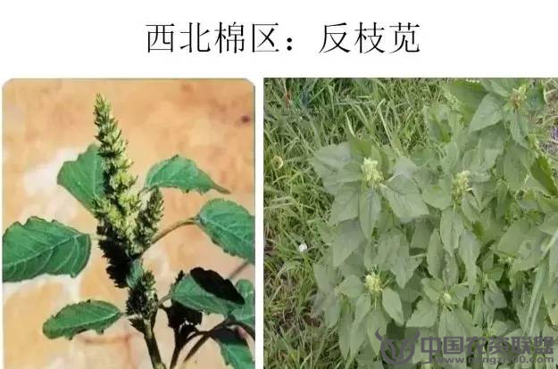 附件