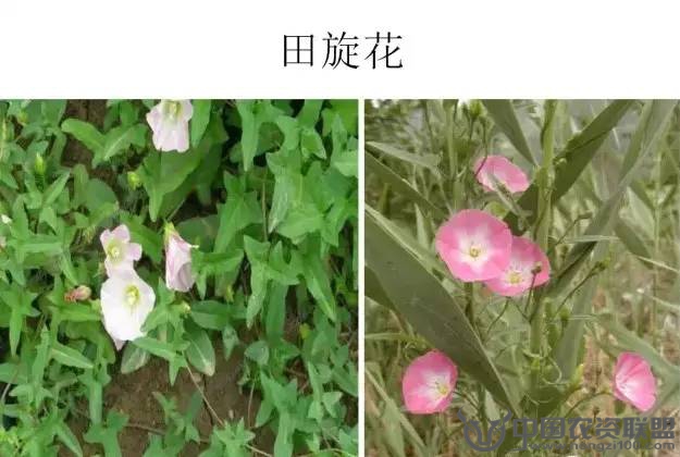 附件