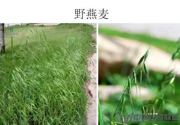 附件