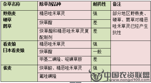 附件