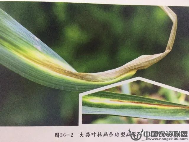 附件