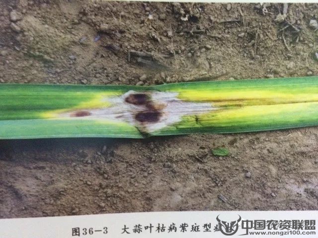 附件