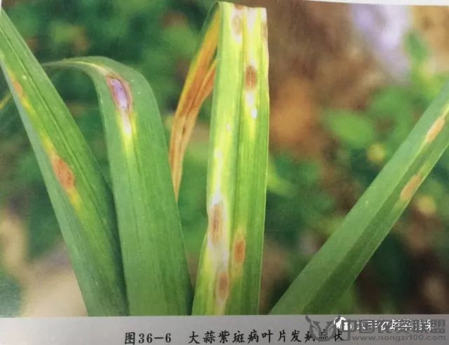 附件