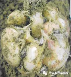 附件