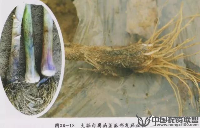 附件