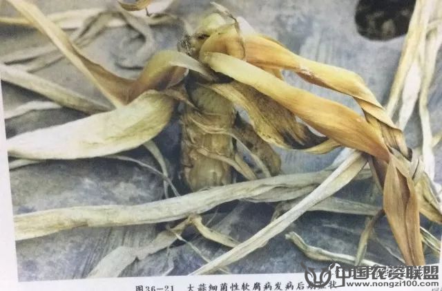 附件