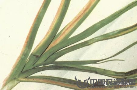 附件