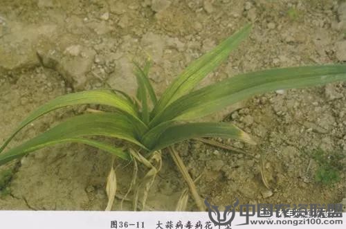 附件