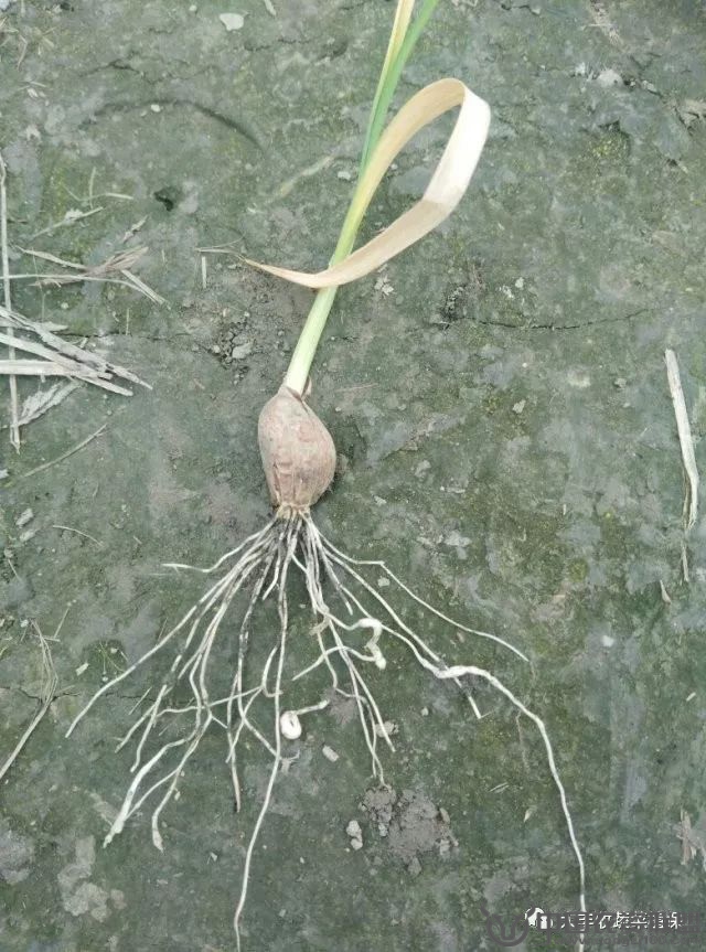 附件