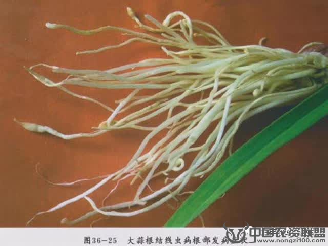 附件