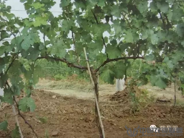 附件