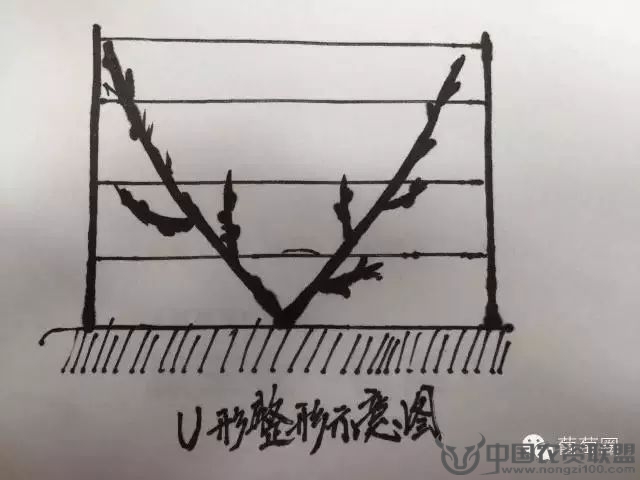 附件