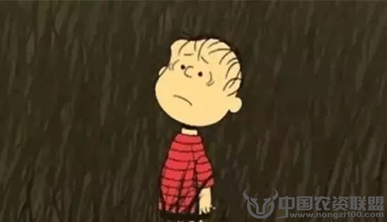 附件