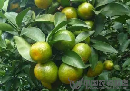 附件