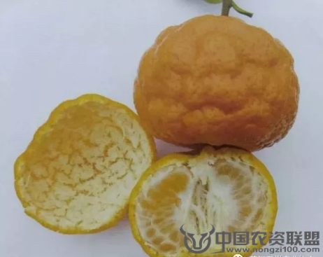 附件