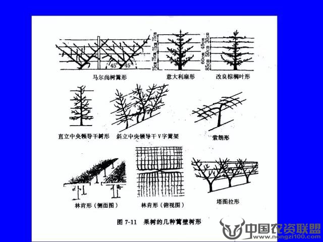 附件