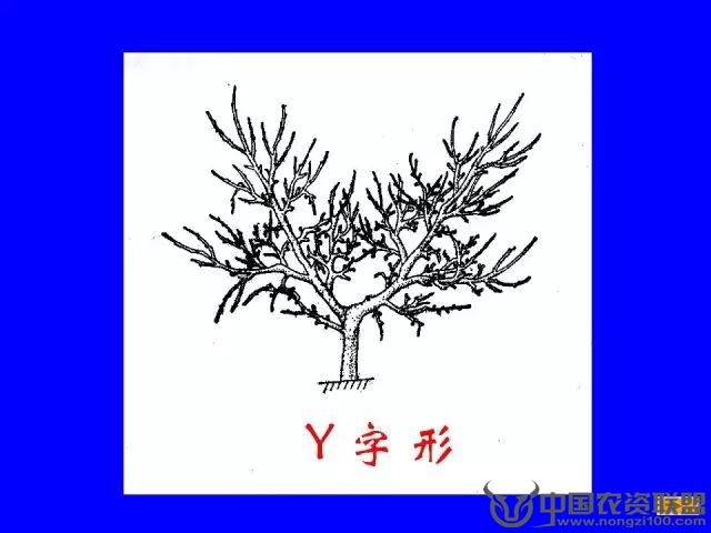 附件