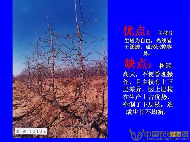附件