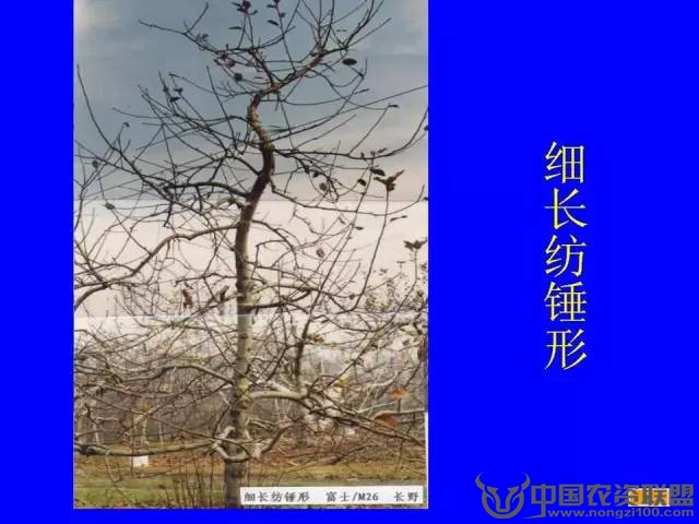 附件