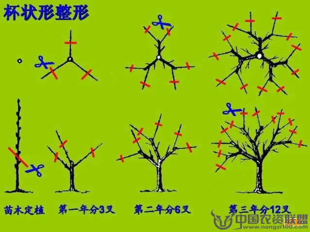附件