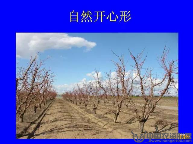 附件