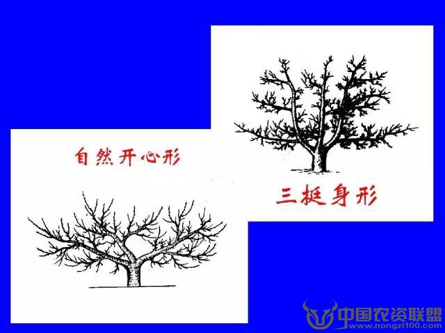 附件
