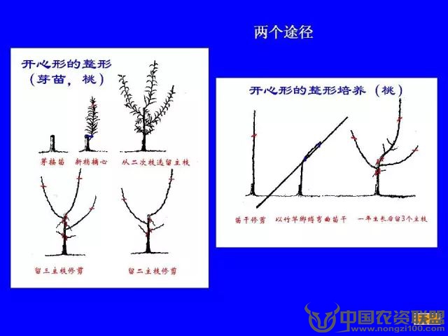 附件