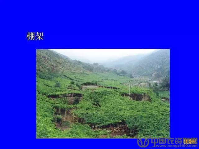 附件