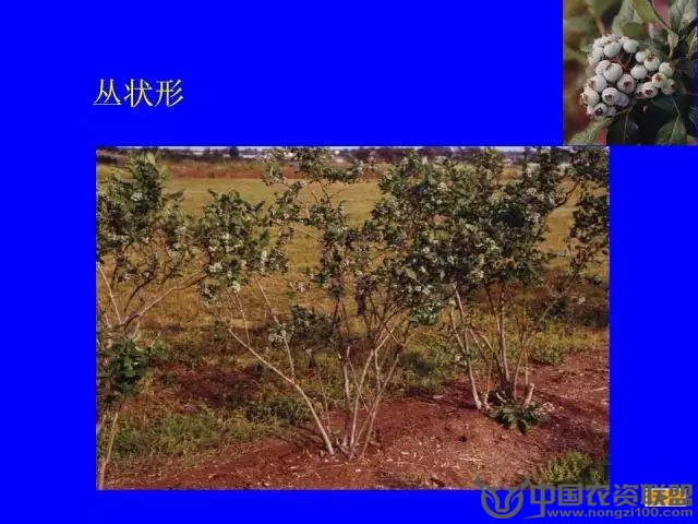 附件