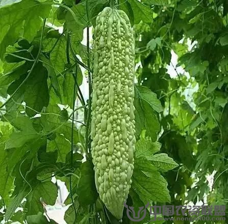 附件