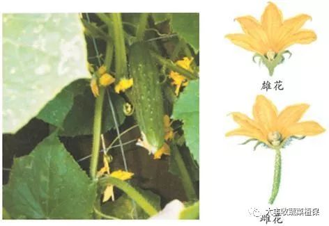 附件