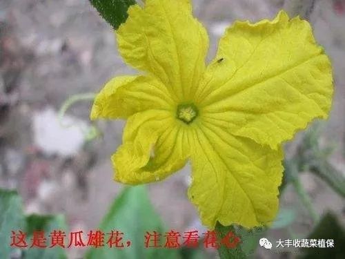 附件