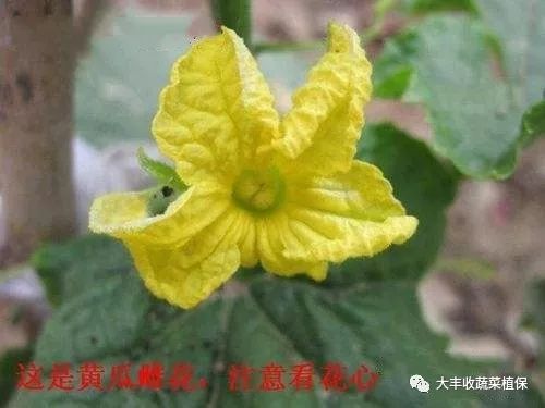 附件