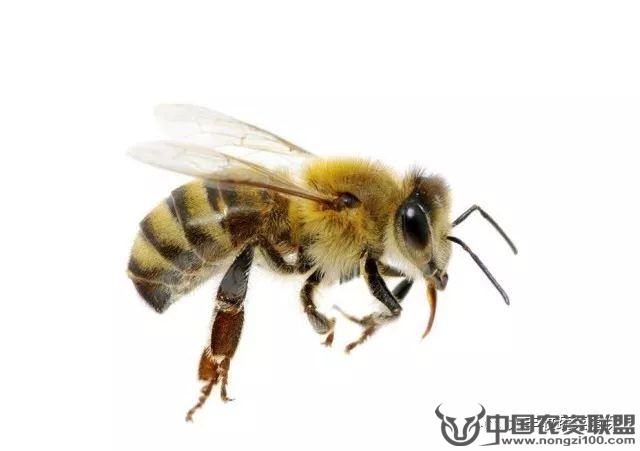 附件