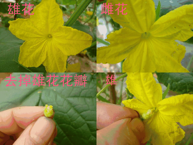 附件