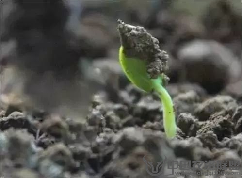 附件
