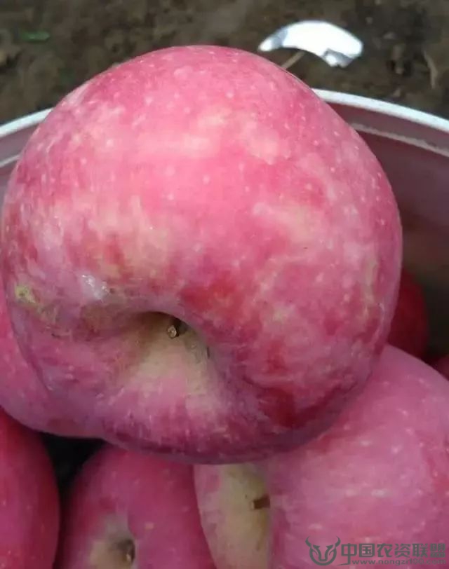 附件