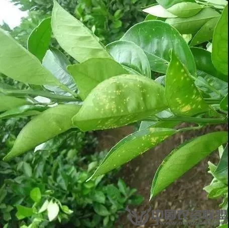附件